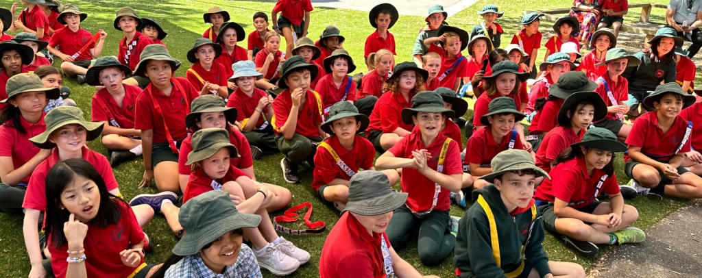 Top 11 School Incursions For Primary Schools: Elevate Your Curriculum With Engaging Activities