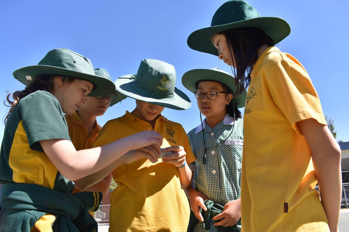 students display teamwork during Urban Quest school incursions melbourne