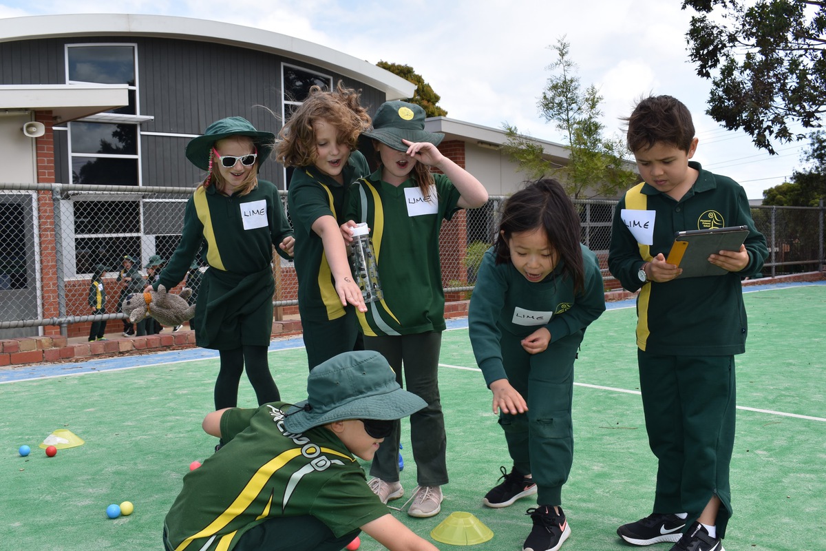 students display teamwork at school incursions melbourne